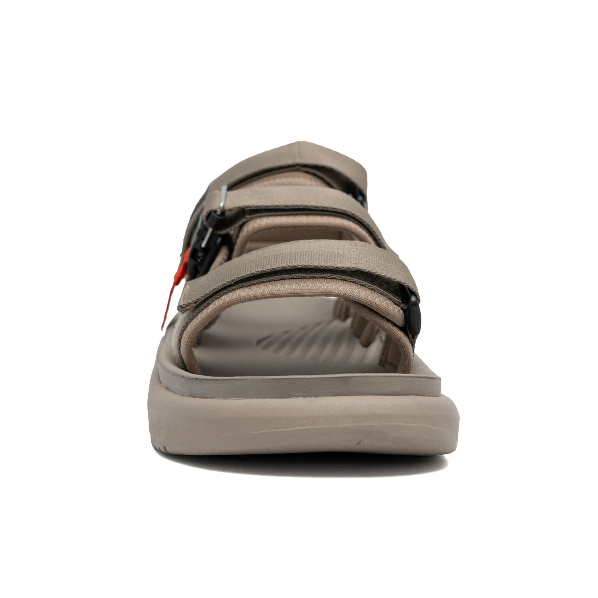 Astro Nutmeg - Image 4