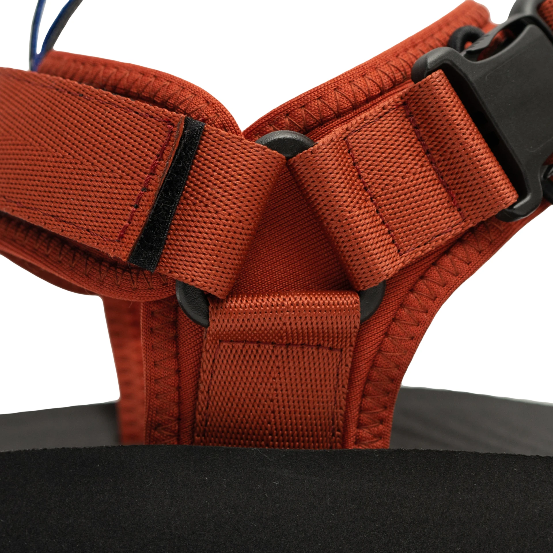 Celtic Cayenne - Image 8