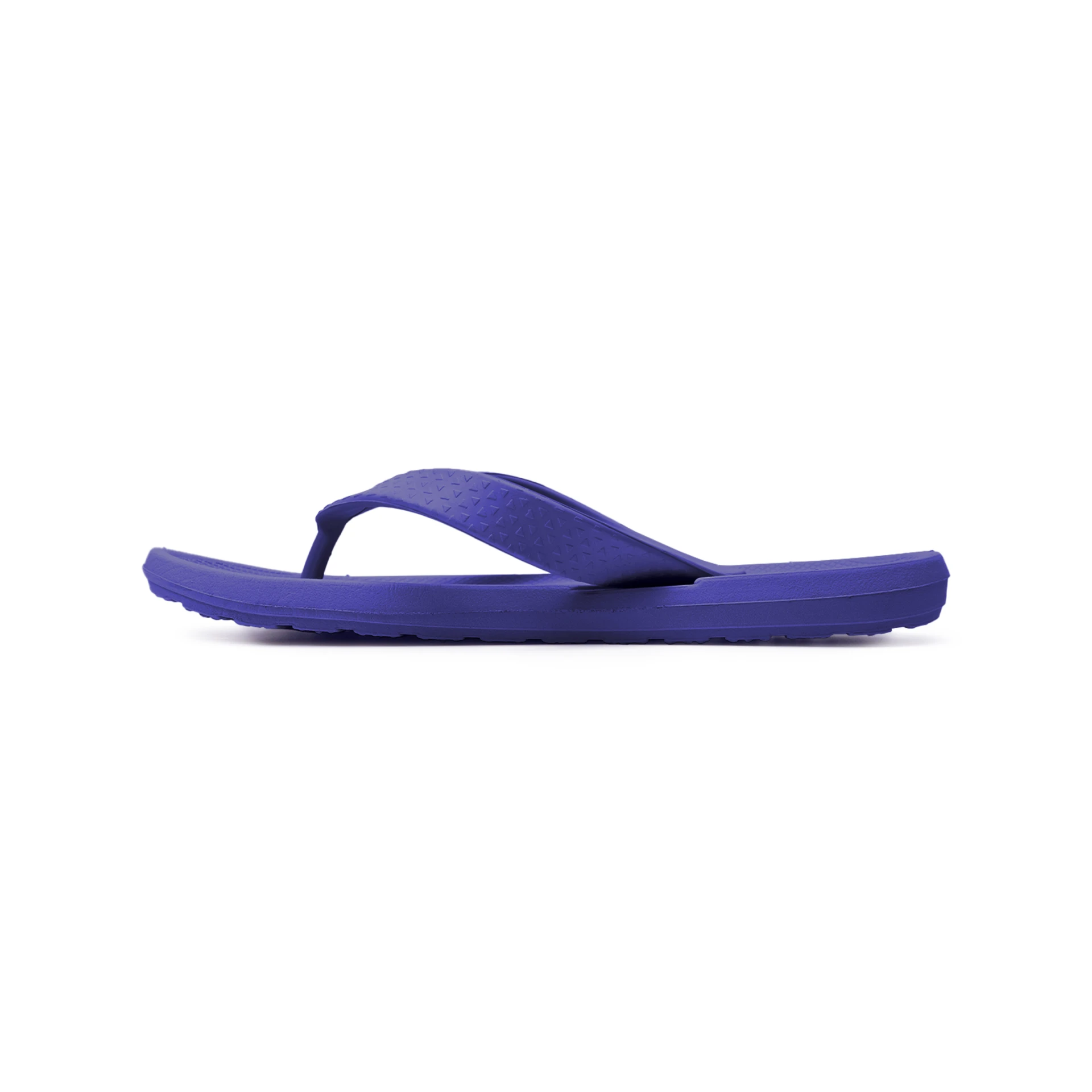 Bakki Phthalo - Image 4